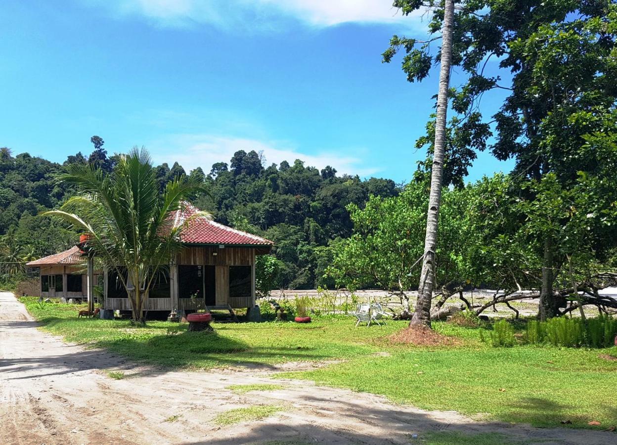 Revive Lampung Krui King Resort Eksteriør bilde
