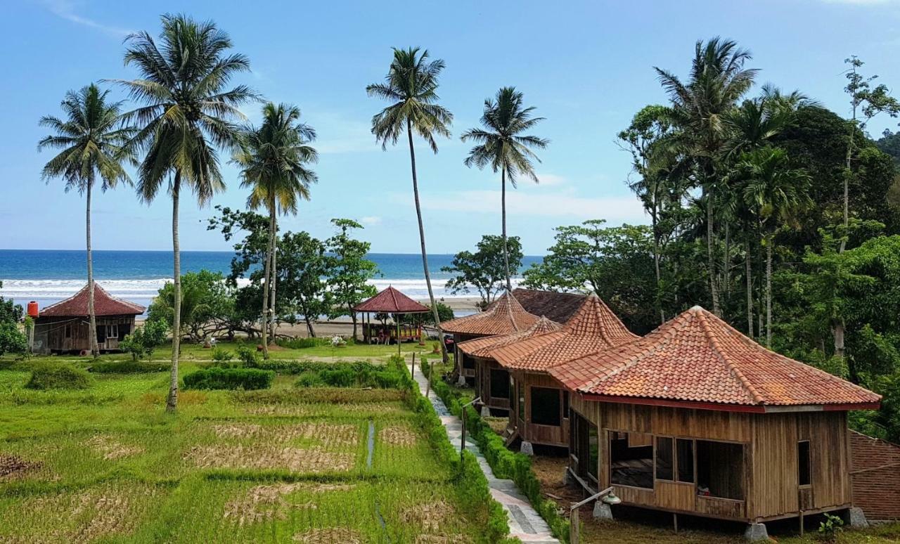 Revive Lampung Krui King Resort Eksteriør bilde